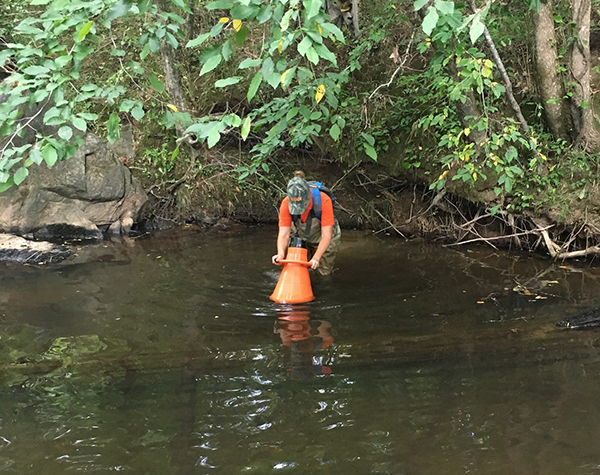 mussel surveying