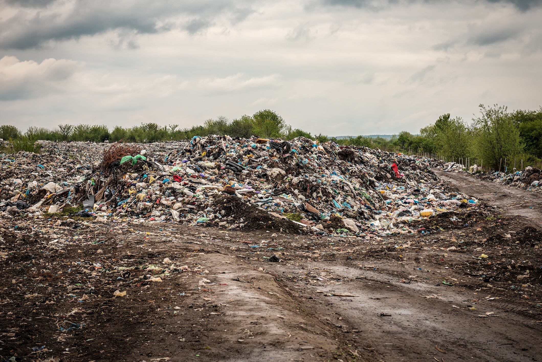 garbage in Sanitary Landfill