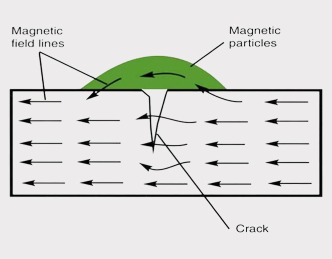 magnetic particle