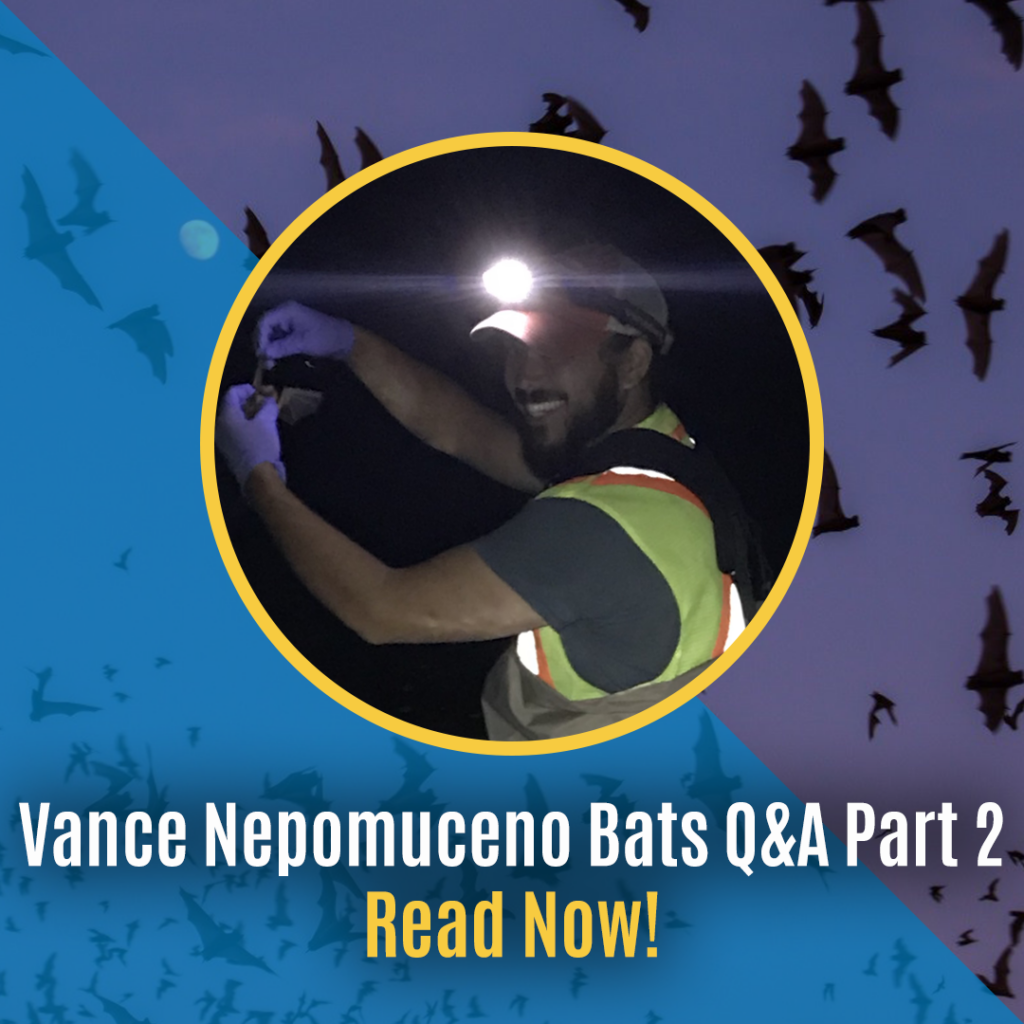 Vance Nepomuceno Bats QA Blog 04.11.23 1.2