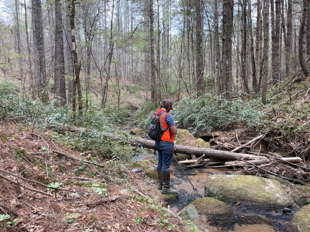 Wetland Assessment and Delineation Services ECS