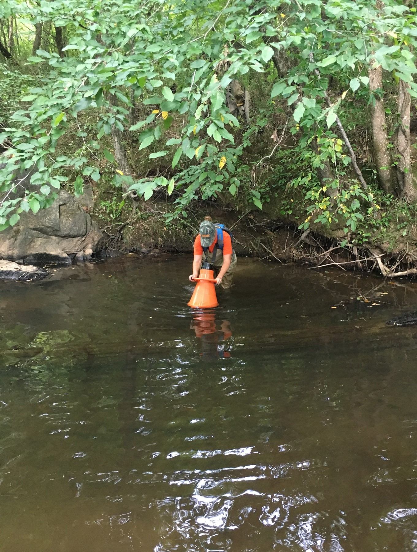 mussel surveying