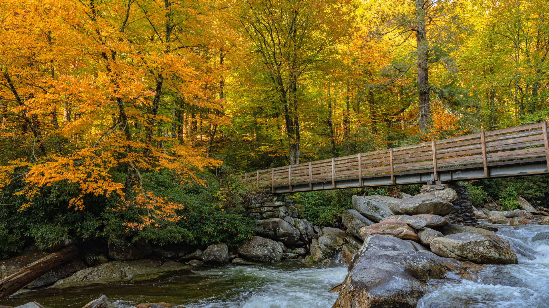 stream bridge