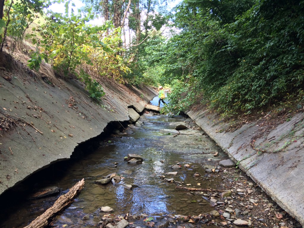 Photo of VDOT wetlands area. This is a water channel surrounded by cracked slabs on concrete side walls. A person in a hard hat and neon vest crosses the channel upstream.