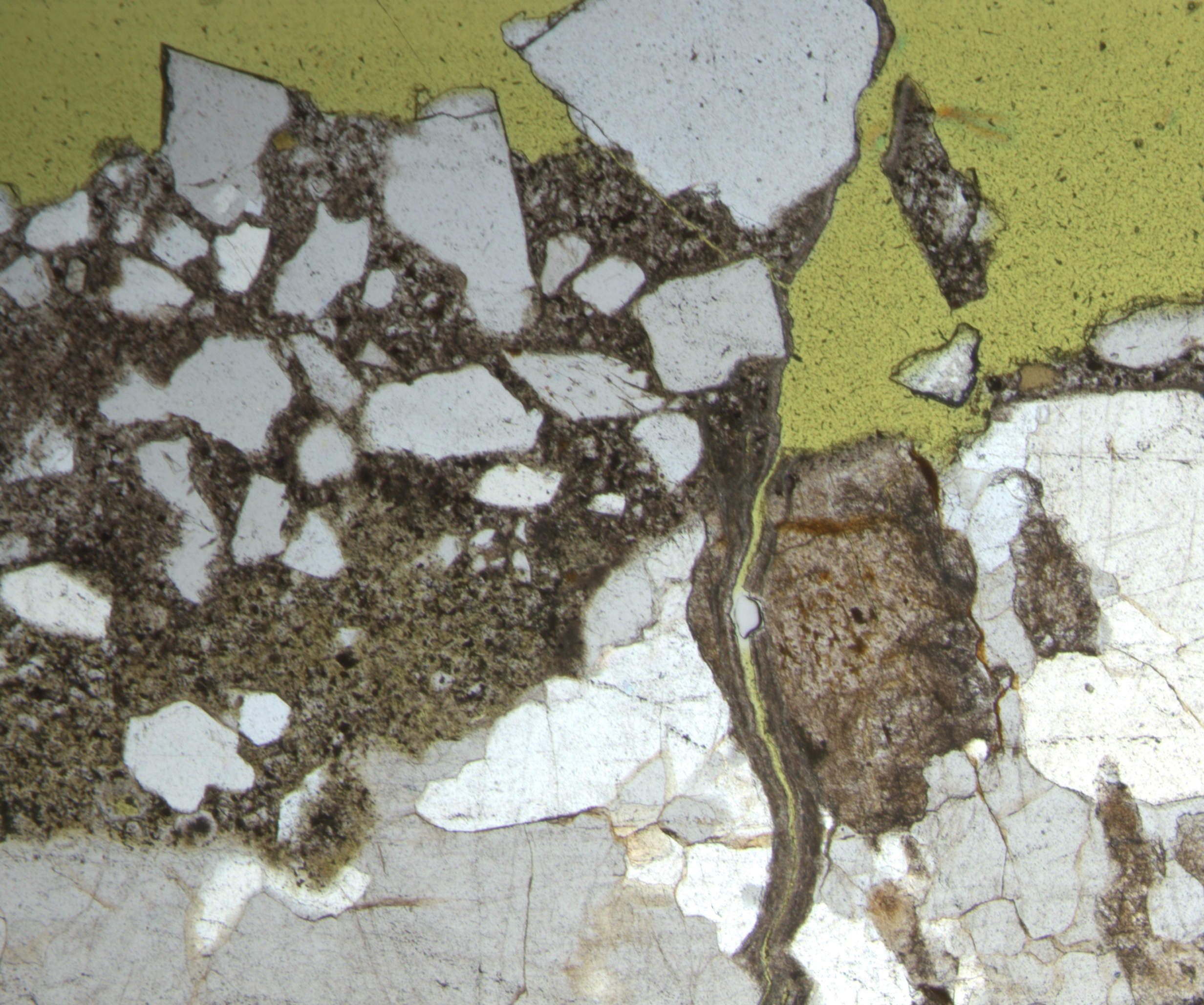46 10016A C1 Micrograph showing perpendicular fine crack at surface with calcium carbonate deposits in plane polarized light