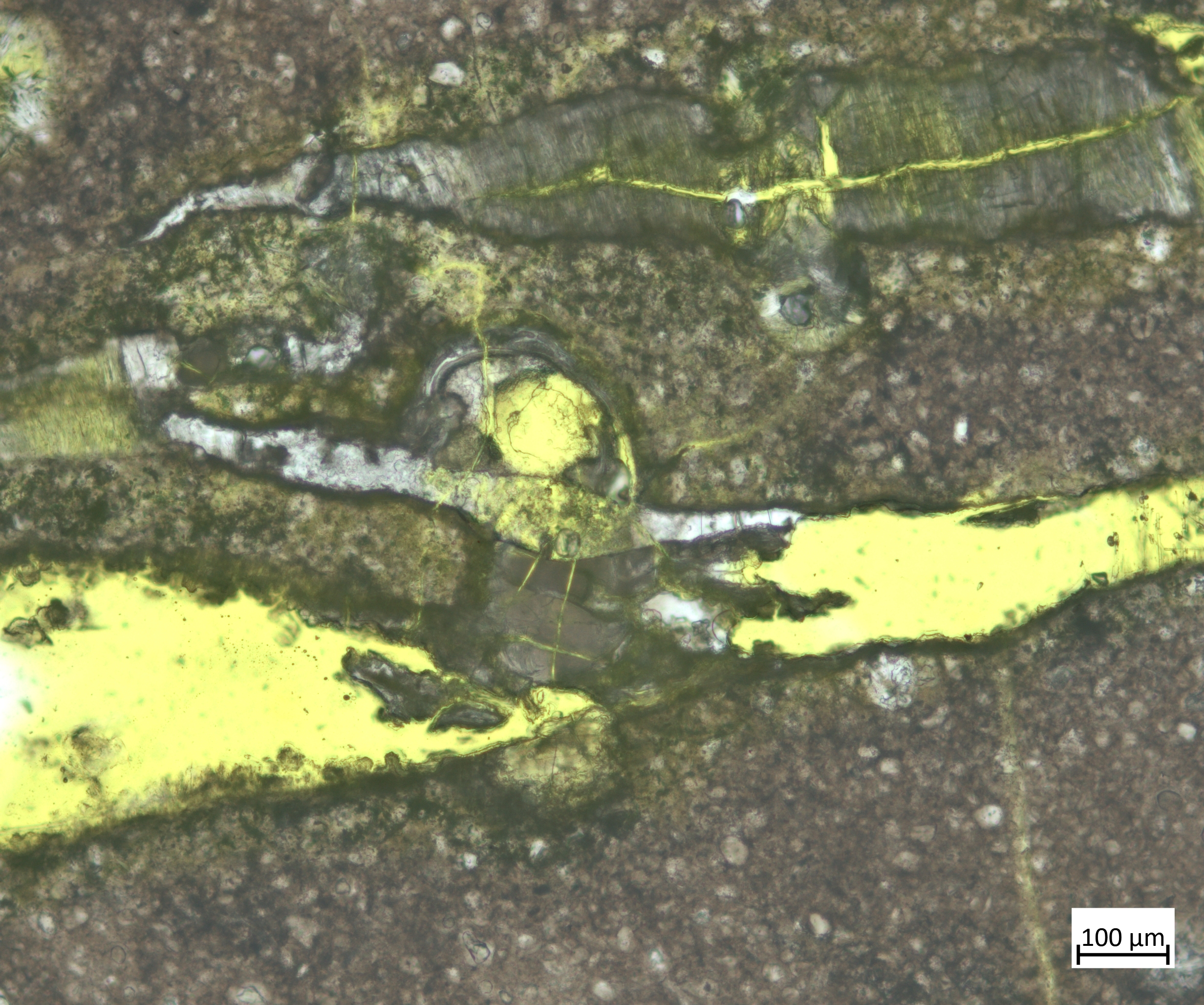 Microscopic view of building materials from ECS materials science lab.