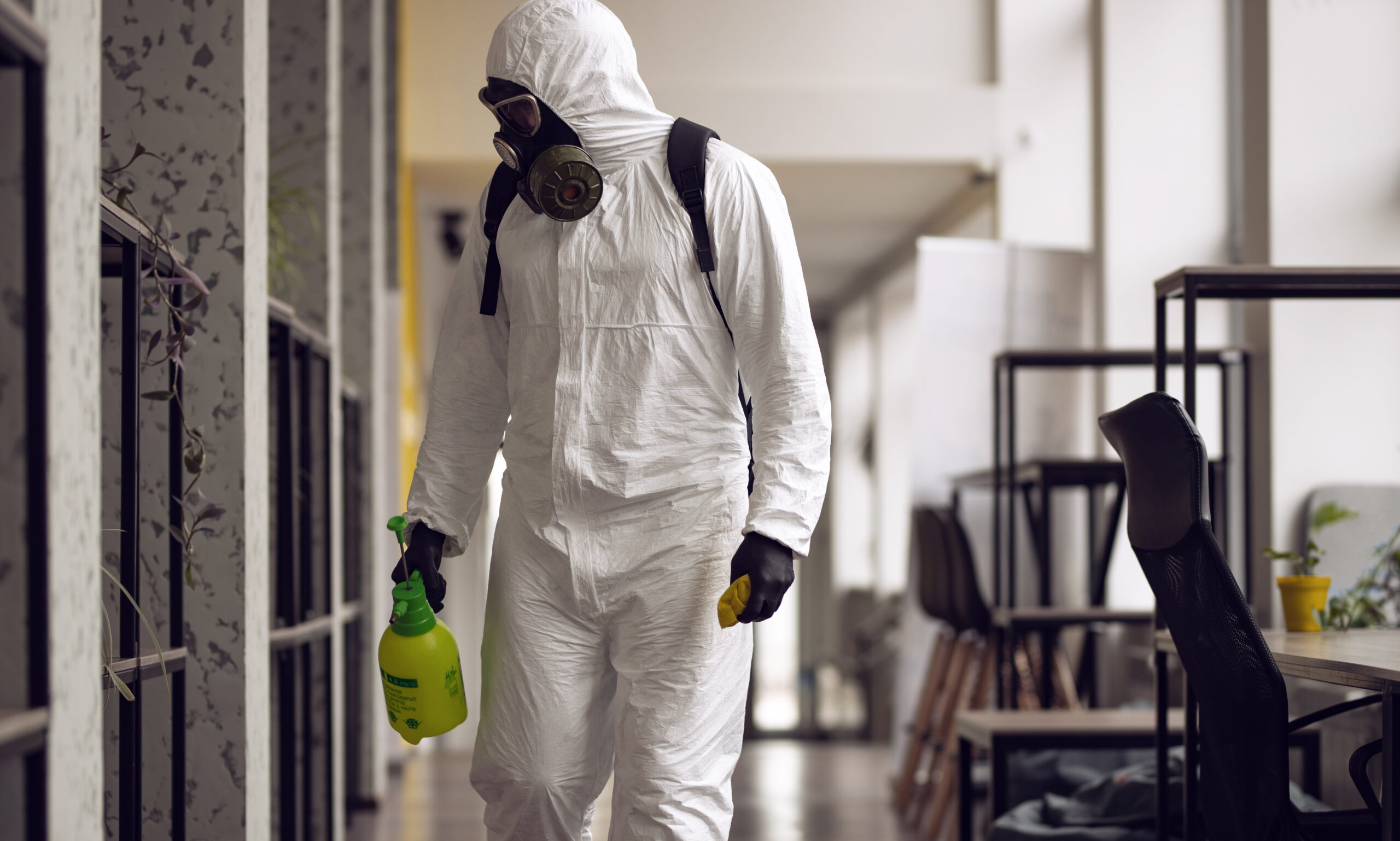 Cleaning and Disinfection of mold.