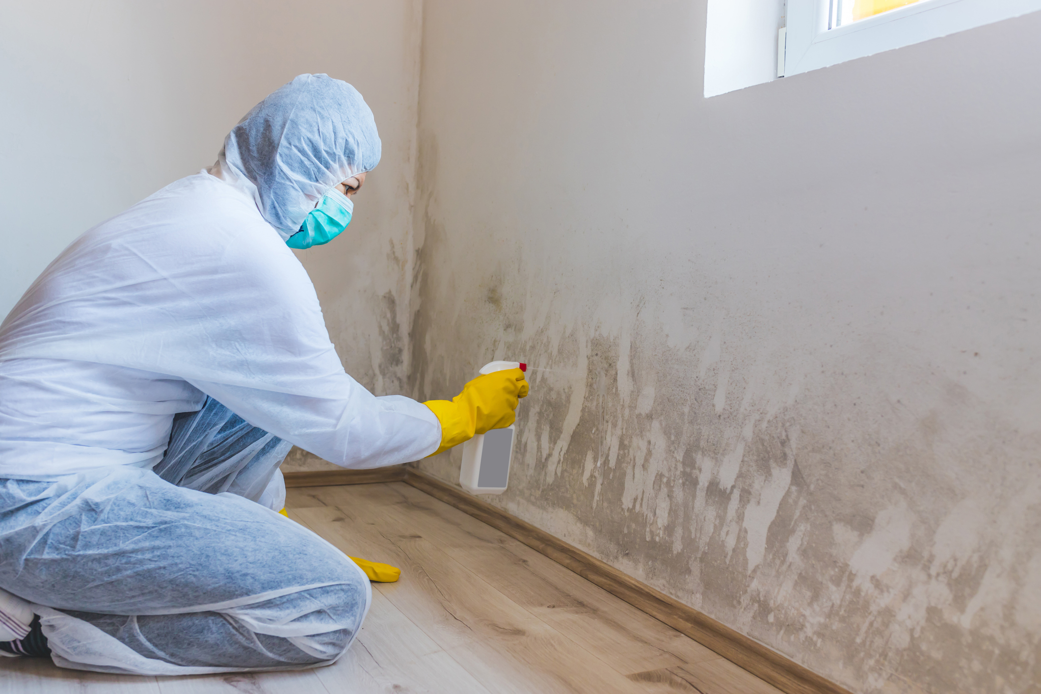 Person wearing a protective suit and respirator spraying a chemical treatment on an interior wall to remove mold, illustrating procedures often conducted during HUD risk assessments for housing safety.