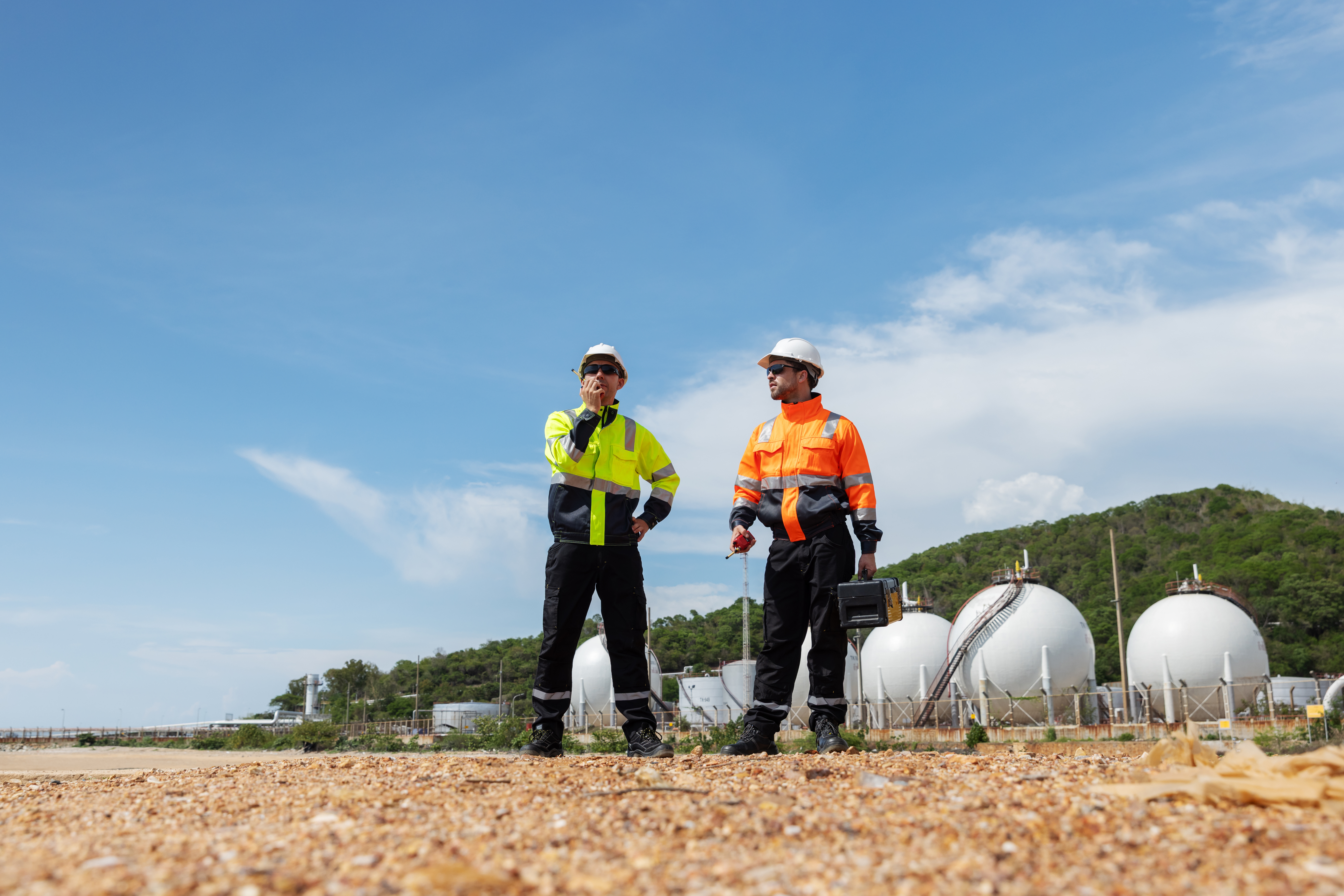 Asset Management Services