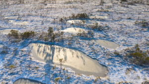 aerial view to the estonian peat bog scenery with 2026 03 18 17 36 20 utc
