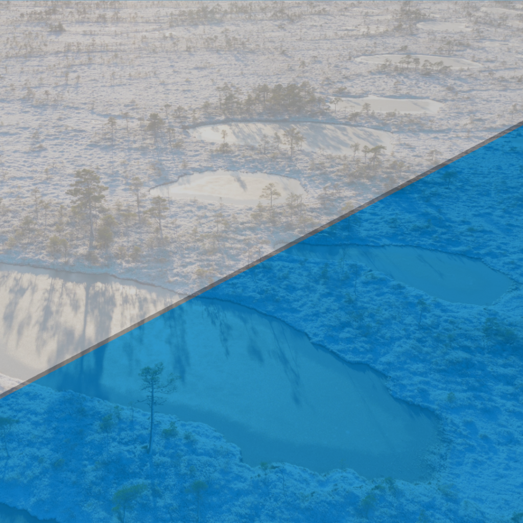 wet winter soil blog img